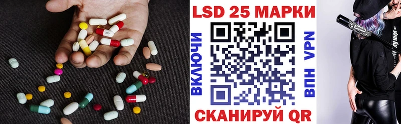 дарнет шоп  Каменка  ЛСД экстази ecstasy 