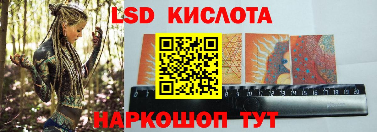Альфа ПВП Каменка