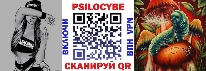 Псилоцибиновые грибы прущие грибы  где купить наркоту  Каменка 