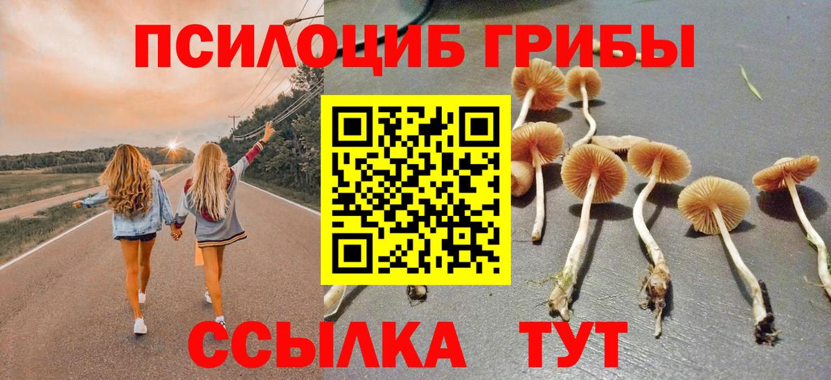 Каменка  Галлюциногенные грибы MAGIC MUSHROOMS  Вход с VPN 